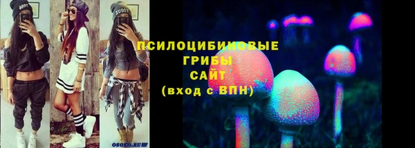 индика Балахна