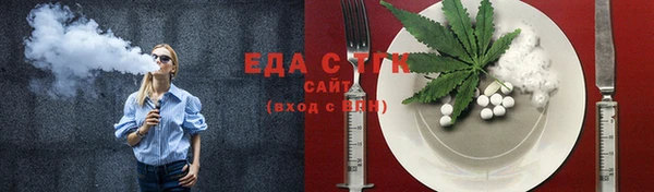 индика Балахна