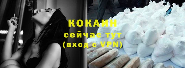 индика Балахна