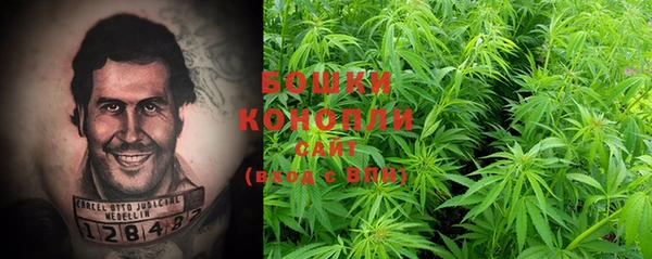 PSILOCYBIN Беломорск