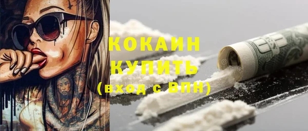 молекула духа Арсеньев