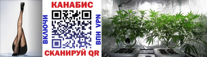 купить закладку  Катайск  Марихуана White Widow 